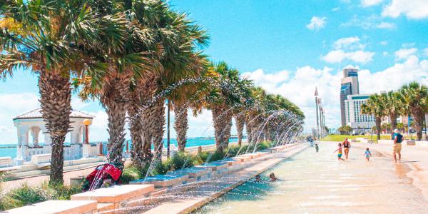 An image of a sunny walkway with palm trees.