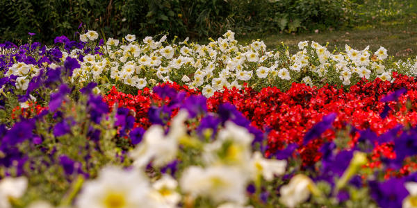 Quilt Gardens