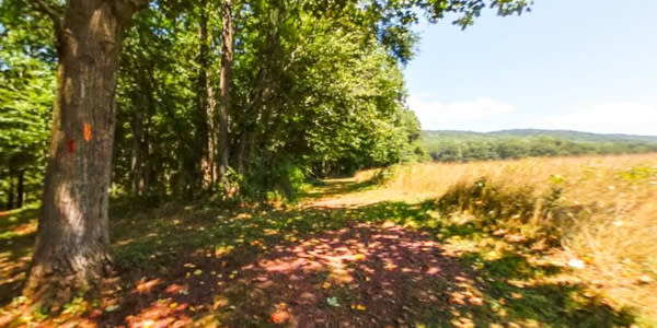 Detweiler Park