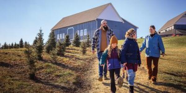 Pine Tree Barn