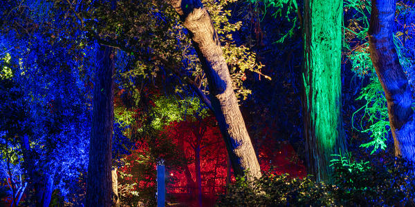 Frederik Meijer Gardens