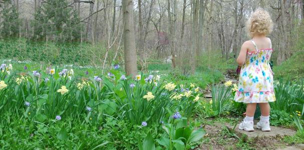 Aullwood Garden