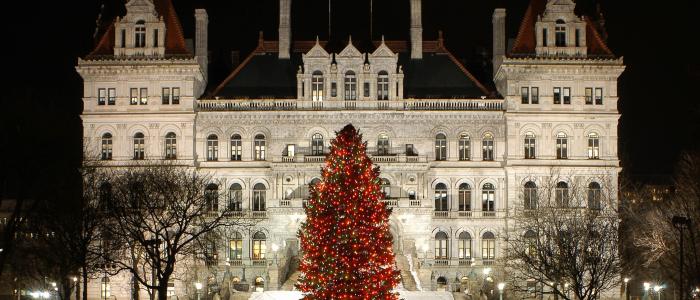 New York kicks off festive season with lighting of tree