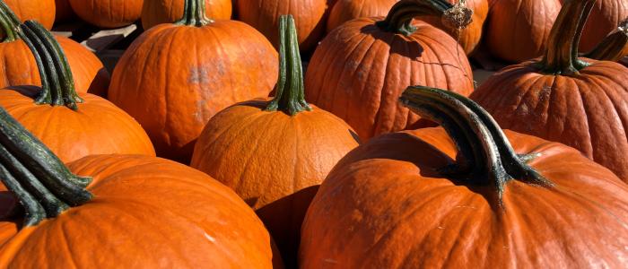 Ready for a gourd time? Google Maps guide to Halloween