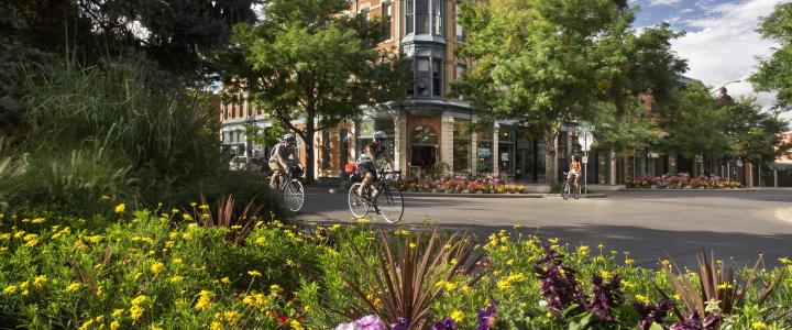 Fort Collins Is The Colorado Getaway You Didnt Know You Needed - 