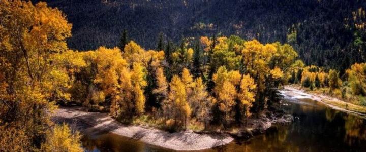 7 Reasons To Visit Fort Collins This Fall
