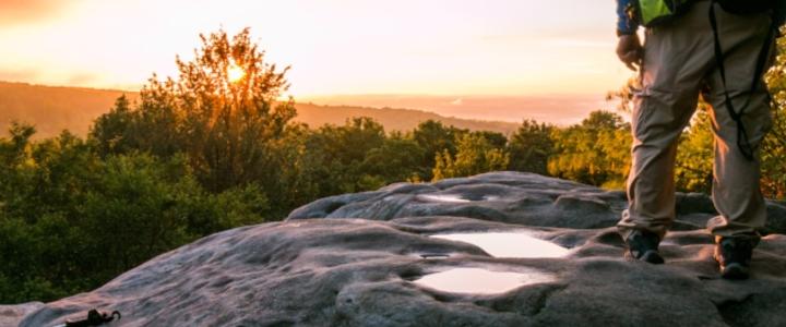 Vistas & Views: A Scenic Photography Tour Blog