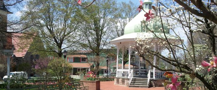 Ligonier Diamond