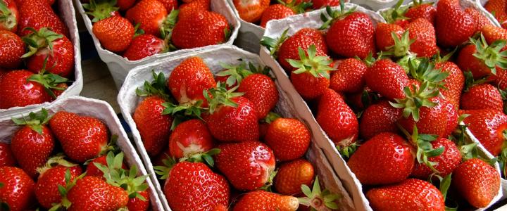 Fresh Finds: A Farmers' Market Guide
