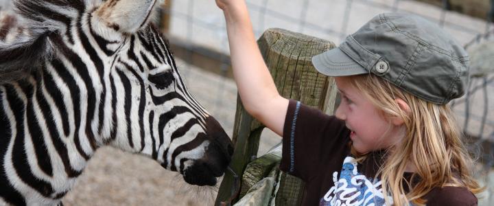 Living Treasures Animal Park