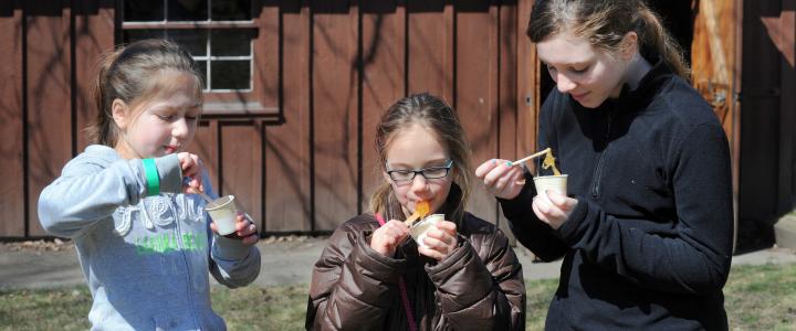 Maple Tasting
