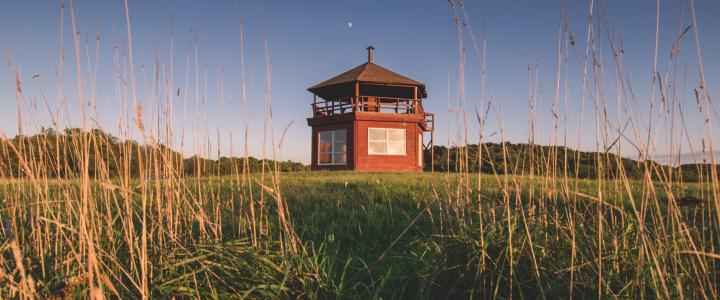 Travel Then and Now: LHVB Staff Favorites