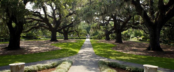 Walk Myrtle Beach Top 10 Spots For A Fall Weather Stroll Visit Myrtle Beach Sc