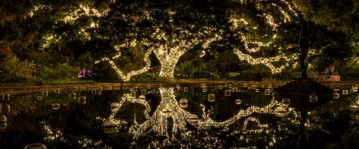 12 Days Of Christmas Day 7 Brookgreen Garden S Nights Of A Thousand Candles Visit Myrtle Beach Sc