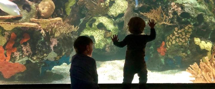 Top 10 Things To Do With Kids In The Myrtle Beach Area Beyond The