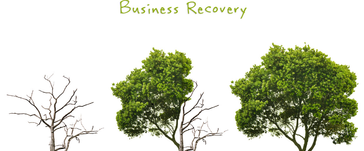 Business Recovery Trees