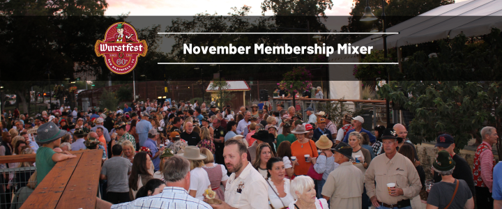 Nov Mixer