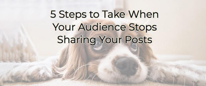 Audience Blog
