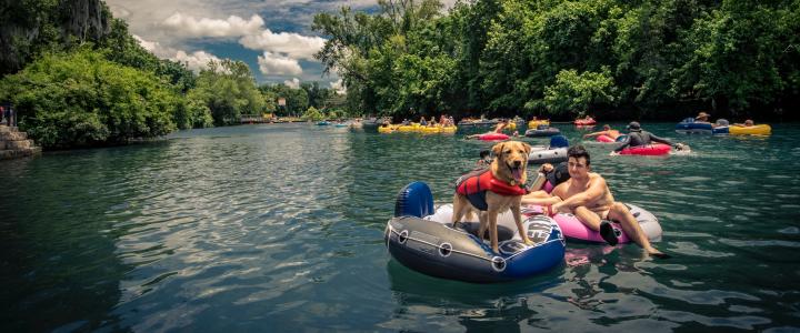 Golden Retriever Floating Down the Comal River with Owner -- The Comal River is great fun for ALL those in the family (four-legged friends included)