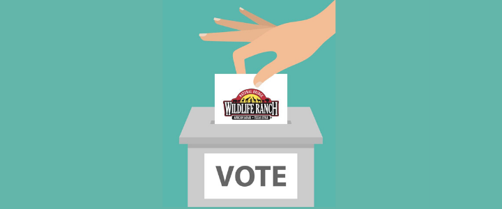 Vote for best safari park