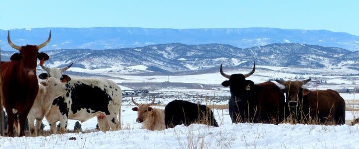 Routt County's Rich Native American History