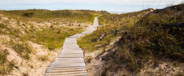 Explore The Back Bay National Wildlife Refuge In Virginia Beach