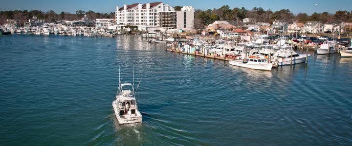 Top Chesapeake Bay Activities: Fishing, Sailing, Golfing, Kayaking