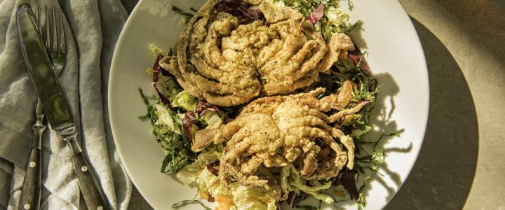 Soft Shells –