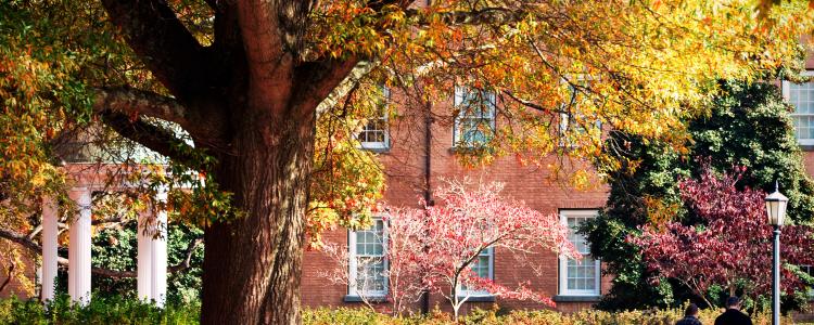 Five Places to Enjoy Fall Colors Around Chapel Hill & Orange County