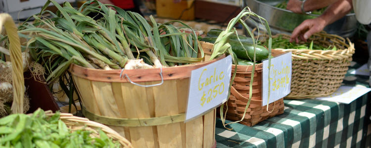 Farmers Market Steamboat Springs