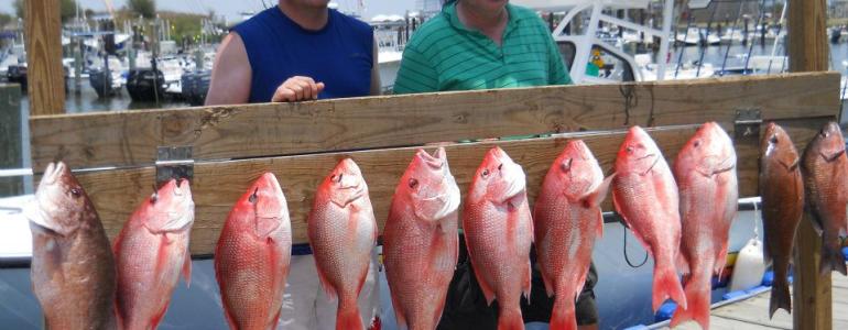 Jefferson Parish Fishing Tournaments