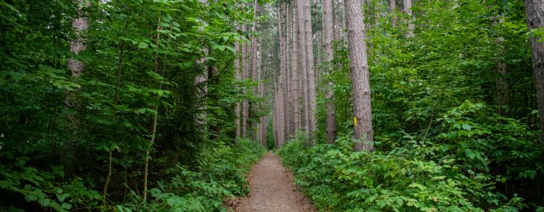 5 Ways To Enjoy Cumming Nature Center This Summer