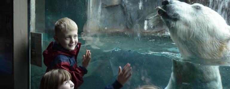 Family Activities For Winter Break In Rochester And The Finger Lakes