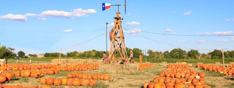 Things to Do this Fall in Frisco