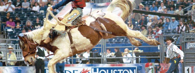Houston Livestock Show and Rodeo