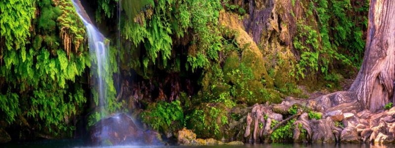Krause Springs. Photo by JB Manning/Shutterstock.