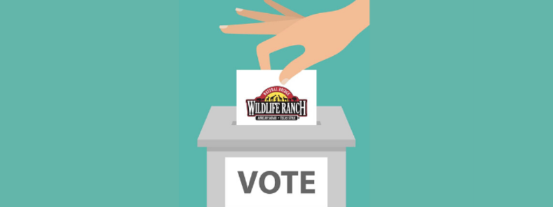 Vote for best safari park