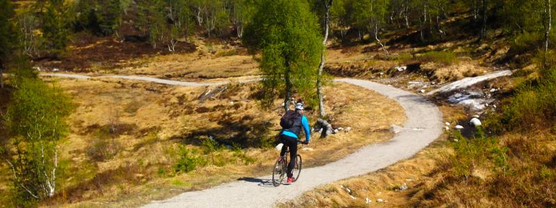 syklist på grusvei i skogen