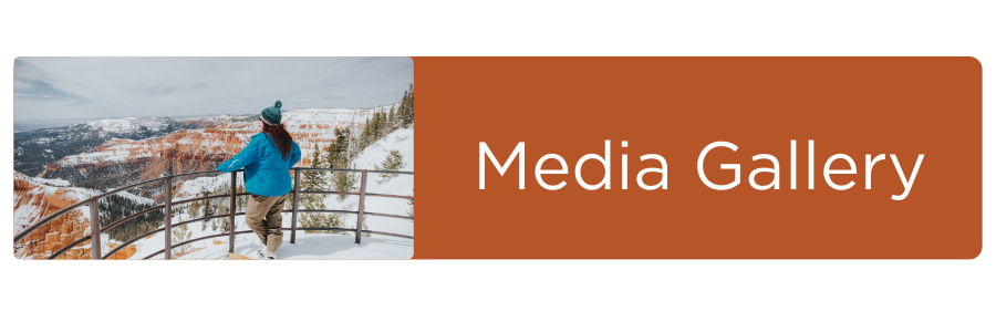 Media Gallery Button