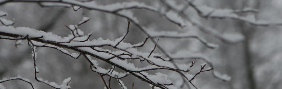 Enewsletter Image