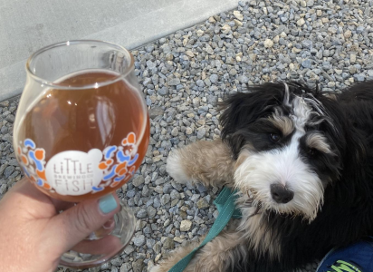 Little Fish Brewing Company | Dayton, OH
