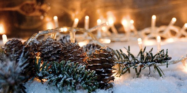 Madison Winter Festival Features Only >> Culinary Calendar Madison Wi Madison Winter Festival Features Only >> Culinary Calendar Madison Wi