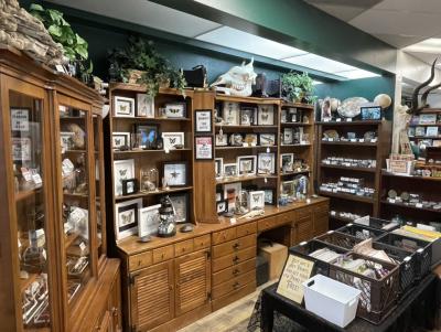 Golden Curiosity Shop Displays