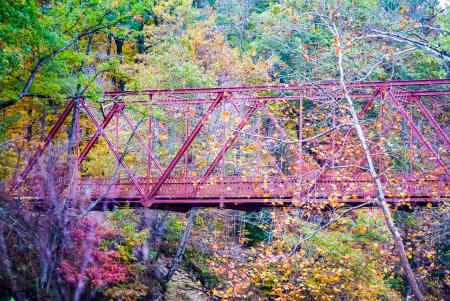 Warren truss bridge at McCloud Nature Park