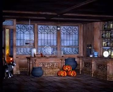 Halloween staging for the spooky event at Cedar Point Environmental Center in Englewood, Florida.