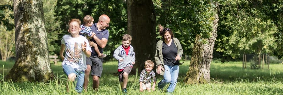 Westonbirt Arboretum