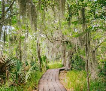 Barataria Preserve