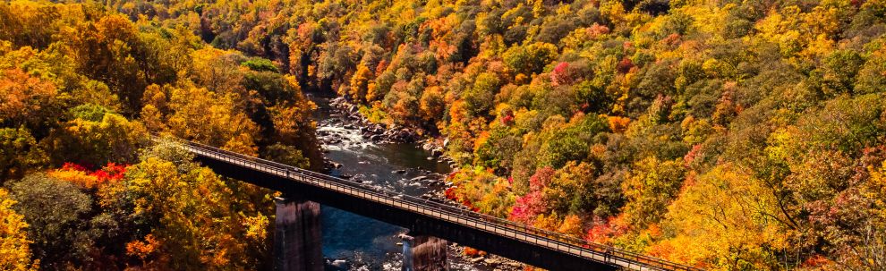 Ohiopyle GAP Fall