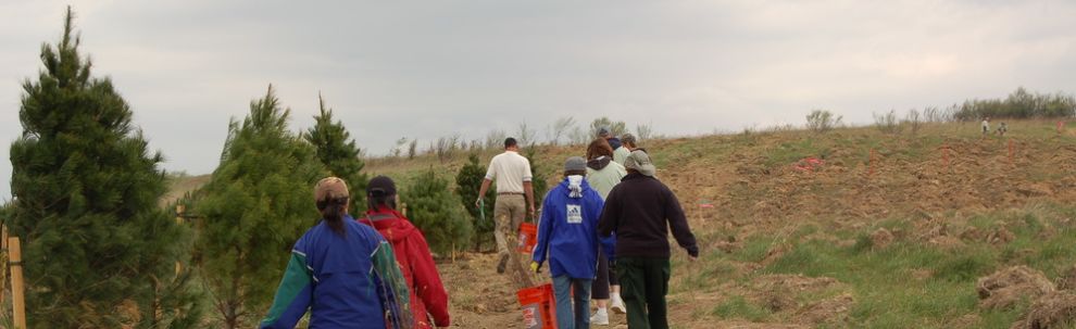Plant a Tree at Flight 93