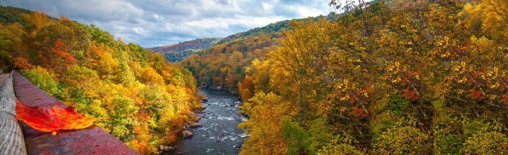Fall in the Laurel Highlands
